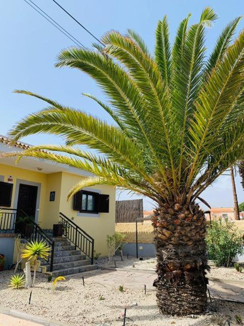 Vivienda Vacacional Tinizara Arona  Extérieur photo